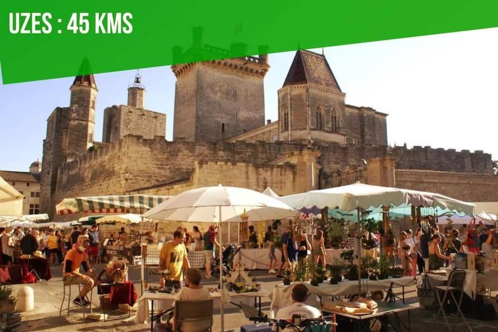 La Balance Des Doms - 1 Min Du Palais Des Papes - Intra-Muros 아비뇽 외부 사진